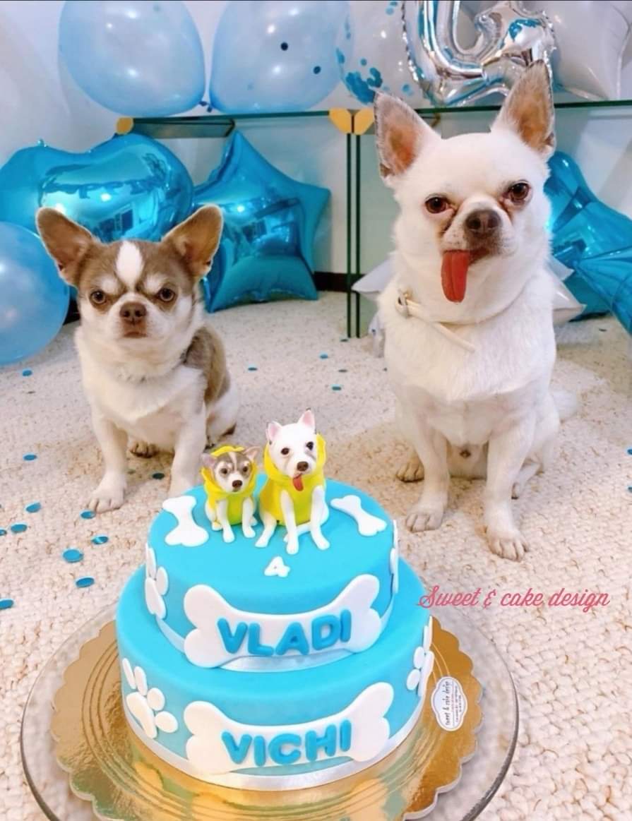 Cake design